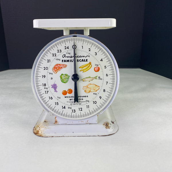 Vintage American Family 25 lb Food Scale