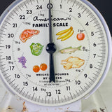 Vintage American Family 25 lb Food Scale